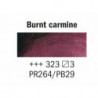 Rembrandt 40ml - Carminio Bruciato (323)