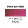 Rembrandt 40ml - Violetto Rossastro Permanente (567)