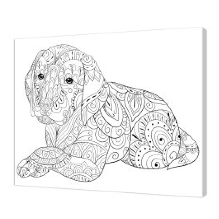Tela Stampata Da Colorare 40x50 - Cagnolino