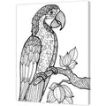Tela Stampata Da Colorare 40x50 - Pappagallo