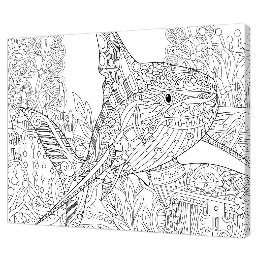Tela Stampata Da Colorare 40x50 - Squalo