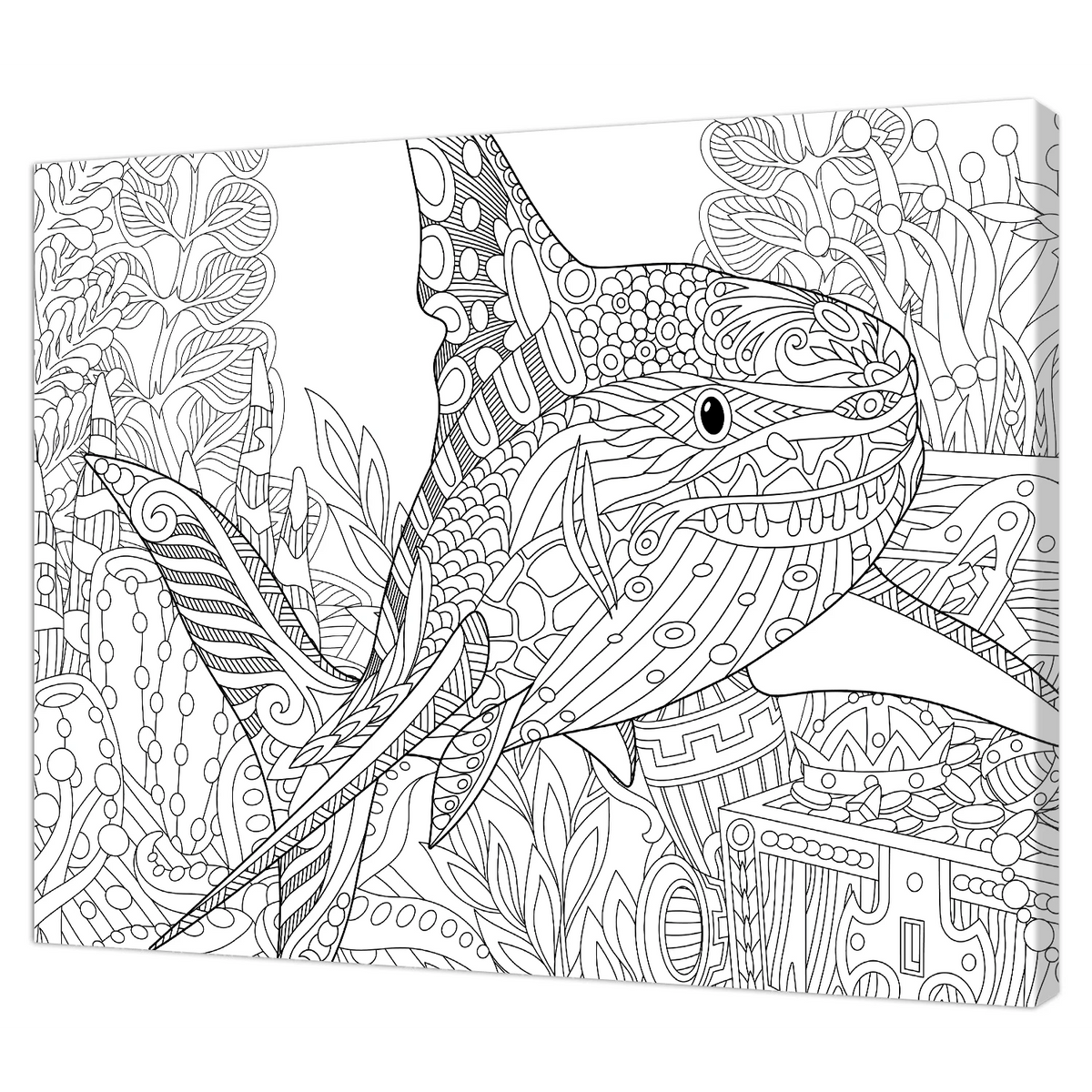 Tela Stampata Da Colorare 40x50 - Squalo