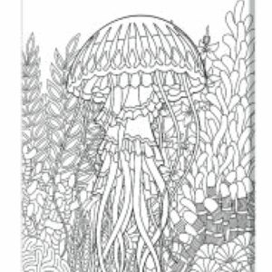 Tela Stampata Da Colorare 40x50 - Medusa