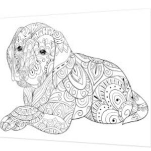 Tela Stampata Da Colorare 40x50 - Cagnolino