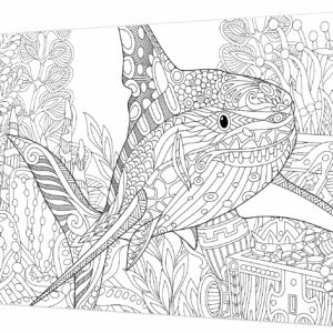 Tela Stampata Da Colorare 40x50 - Squalo