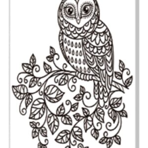 Tela Stampata Da Colorare 40x50 - Gufo