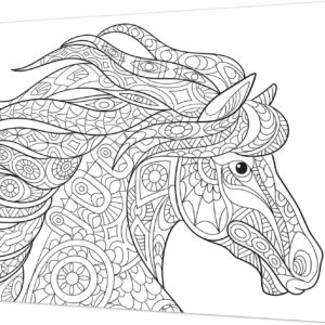 Tela Stampata Da Colorare 40x50 - Cavallo