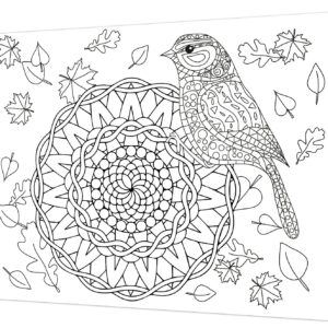 Tela Stampata Da Colorare 40x50 - Uccellino