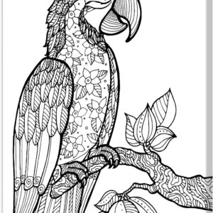 Tela Stampata Da Colorare 40x50 - Pappagallo