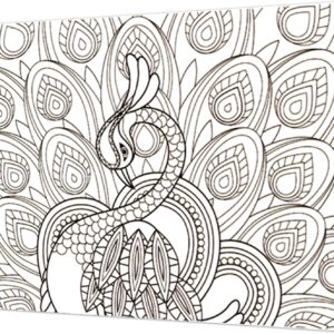 Tela Stampata Da Colorare 40x50 - Pavone